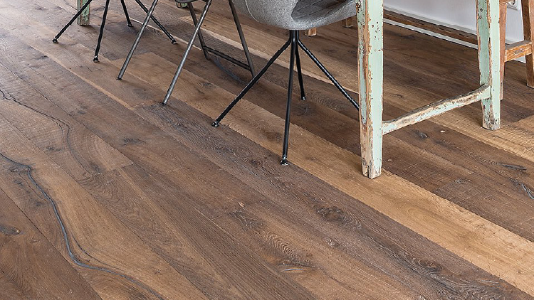 dennebos_eiche_altholz_reclaimed